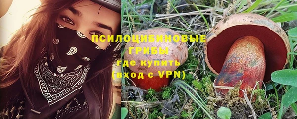 спиды Новозыбков