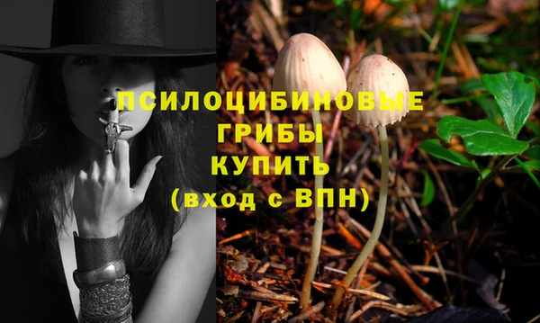 сатива Нягань