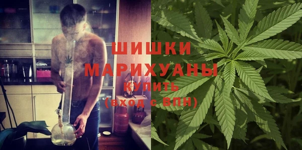 сатива Нягань
