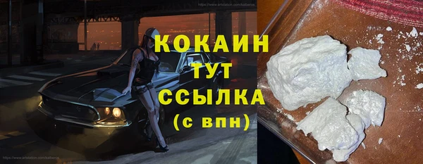 сатива Нягань