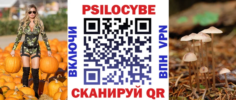 Псилоцибиновые грибы Psilocybine cubensis Новотроицк