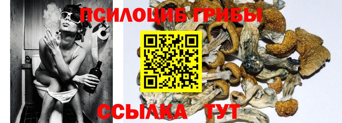 Псилоцибиновые грибы Psilocybine cubensis  Псилоцибиновые грибы мухоморы  Вход с VPN  Новотроицк 